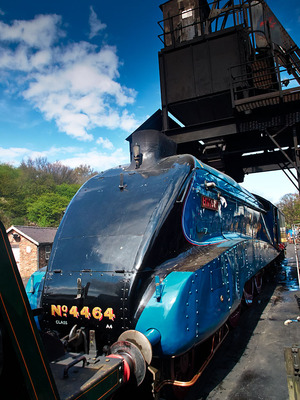 nymr10000.jpg
