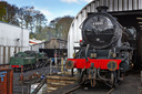nymr0041.jpg