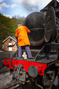 nymr0047.jpg