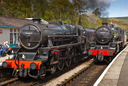 nymr0065.jpg