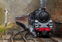 nymr1.jpg