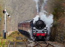 nymr1_6.jpg